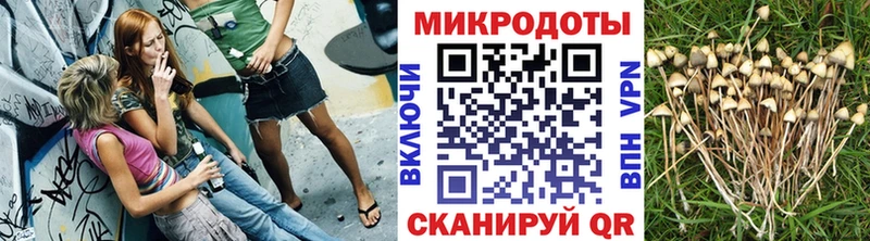 Псилоцибиновые грибы MAGIC MUSHROOMS  Голицыно 